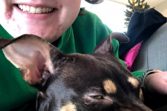 1_Dogs_5