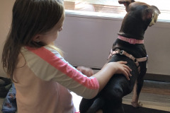 Dogs_5